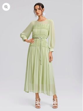 NWT Rich Radi Q's Smocked Pleated Dress With Belt Size Large $299 Light Green